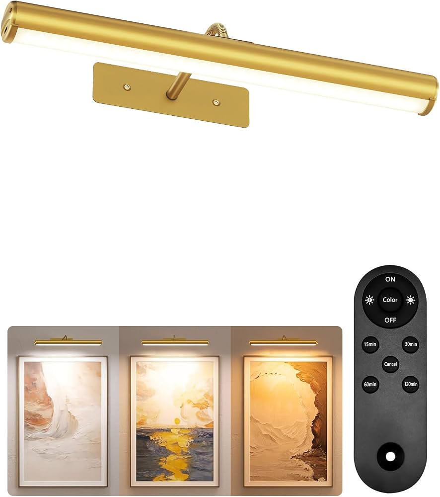 EZVALO 16‘’ Picture Lights for Wall, 6000mAh Rechargeable Art Light with Remote, 3 CCT & Diam... | Amazon (CA)