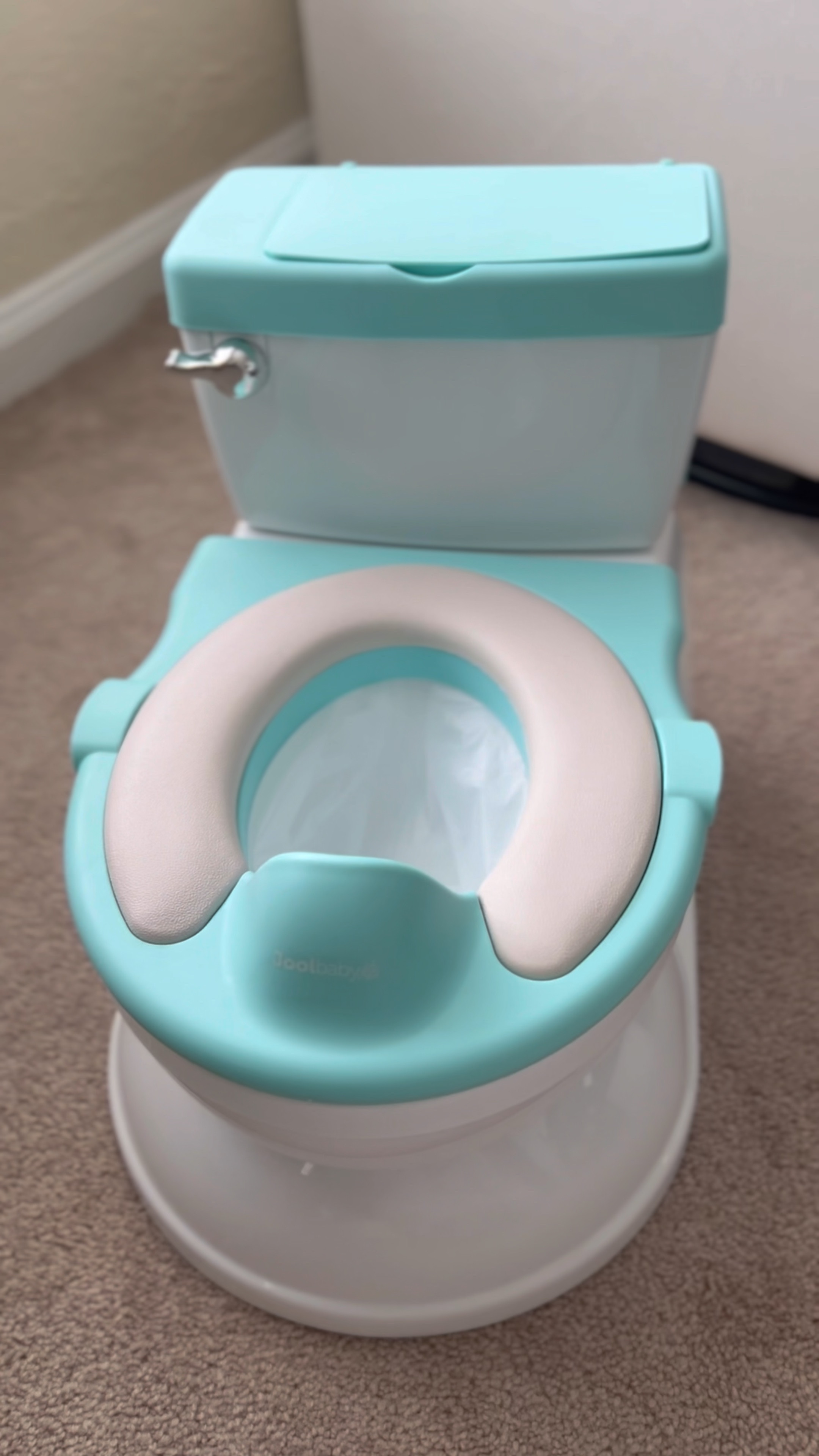 Real Feel Potty with Wipes … curated on LTK
