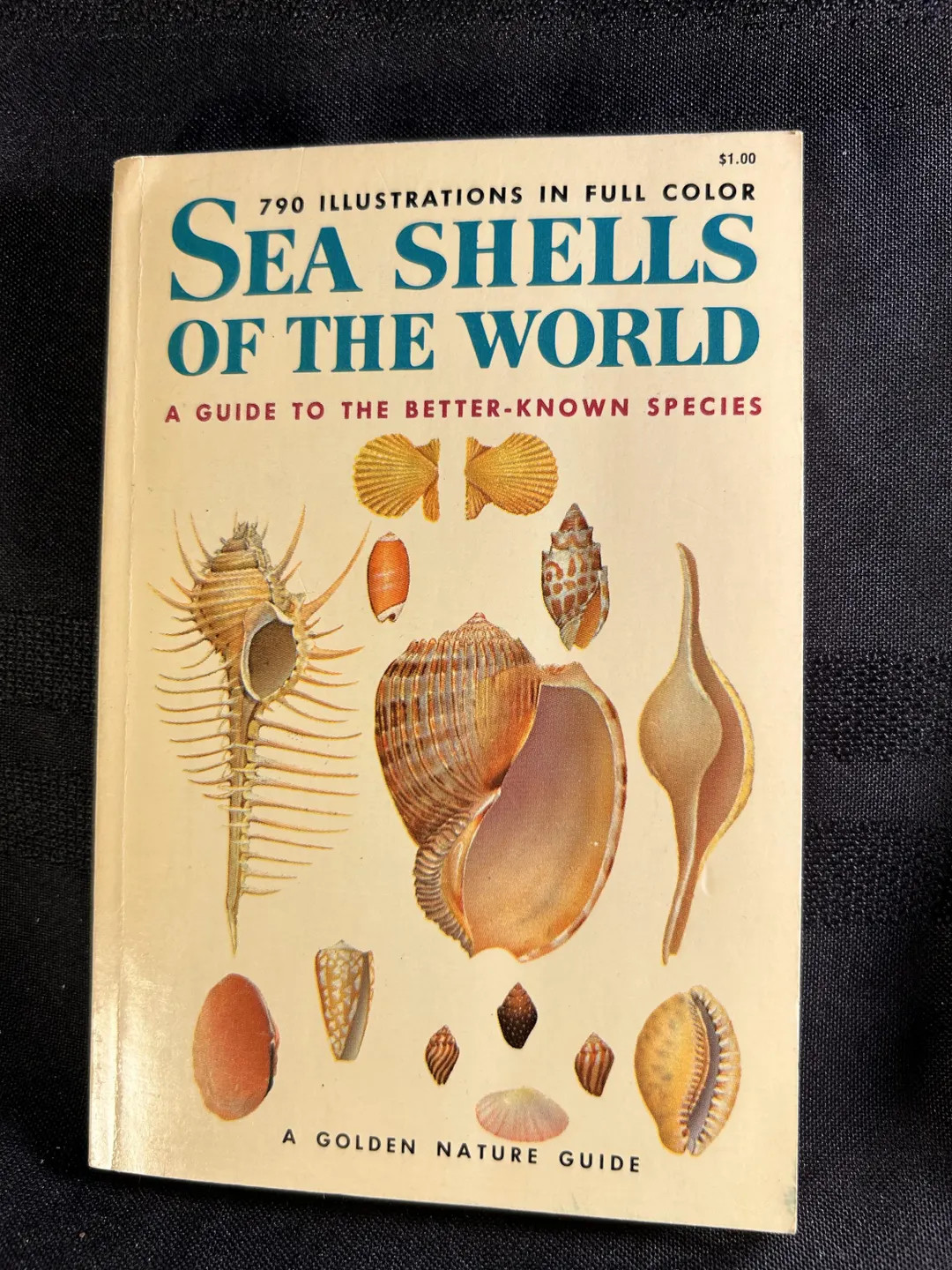 Price:
        $13.00 | Etsy (US)