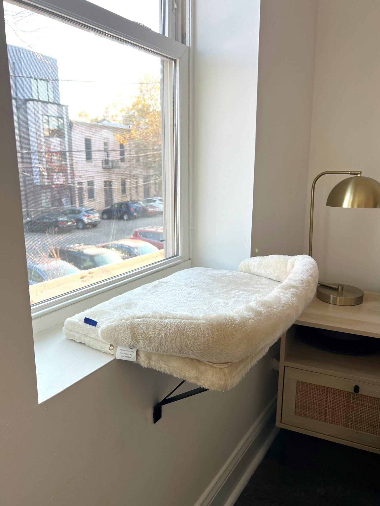 Love this window seat for my kitty Gigi! We have deep windowsills in our new house that she loves to sit in, so I got her this window seat from Chewy to make it more comfy. Chewy is running loads of promos up to 40% off for cyber weekend + Monday, so linked this + a few of my other favorites! @Chewy #ChewyPartner

#LTKCyberWeek