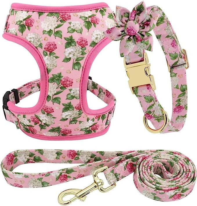 Beirui Cute Girl Dog Collars, Harnesses & Leashes Set - Adjustable Dog Collar and Leash Set with ... | Amazon (US)