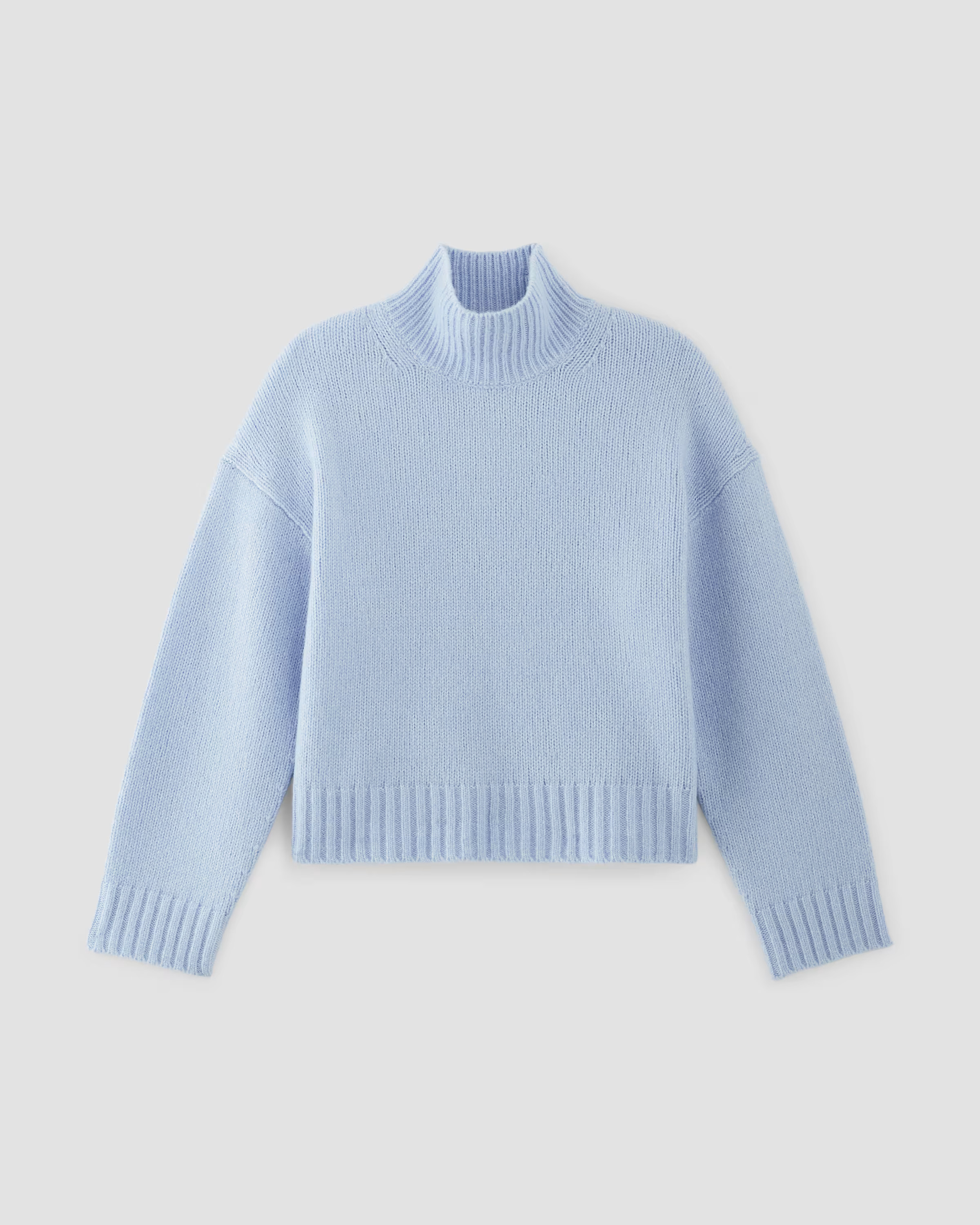 The Cloud Oversized Turtleneck | Everlane