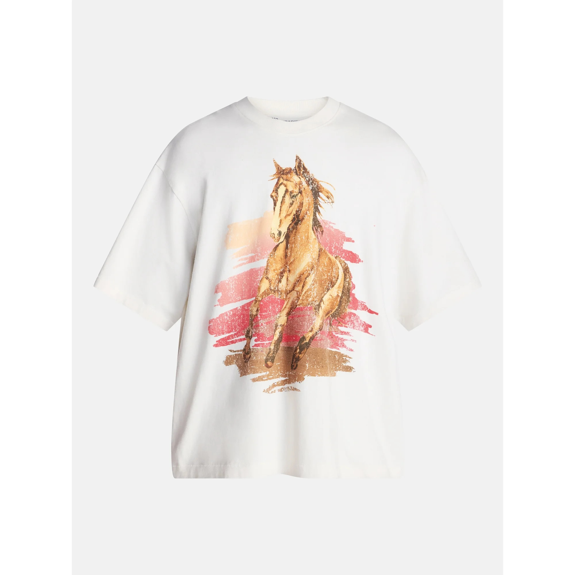 No Boundaries Boxy Fit Heavyweight Graphic Tee Shirt with Short Sleeves, Men's XS-4XLT | Walmart (US)