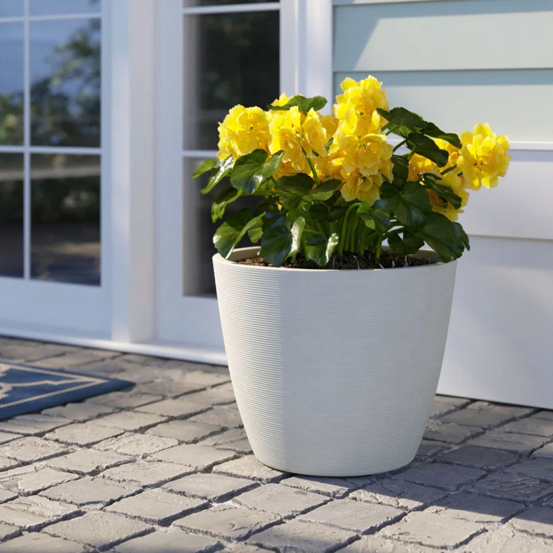 Capetown Ribbed Curve Stone Pot Planter | Wayfair North America