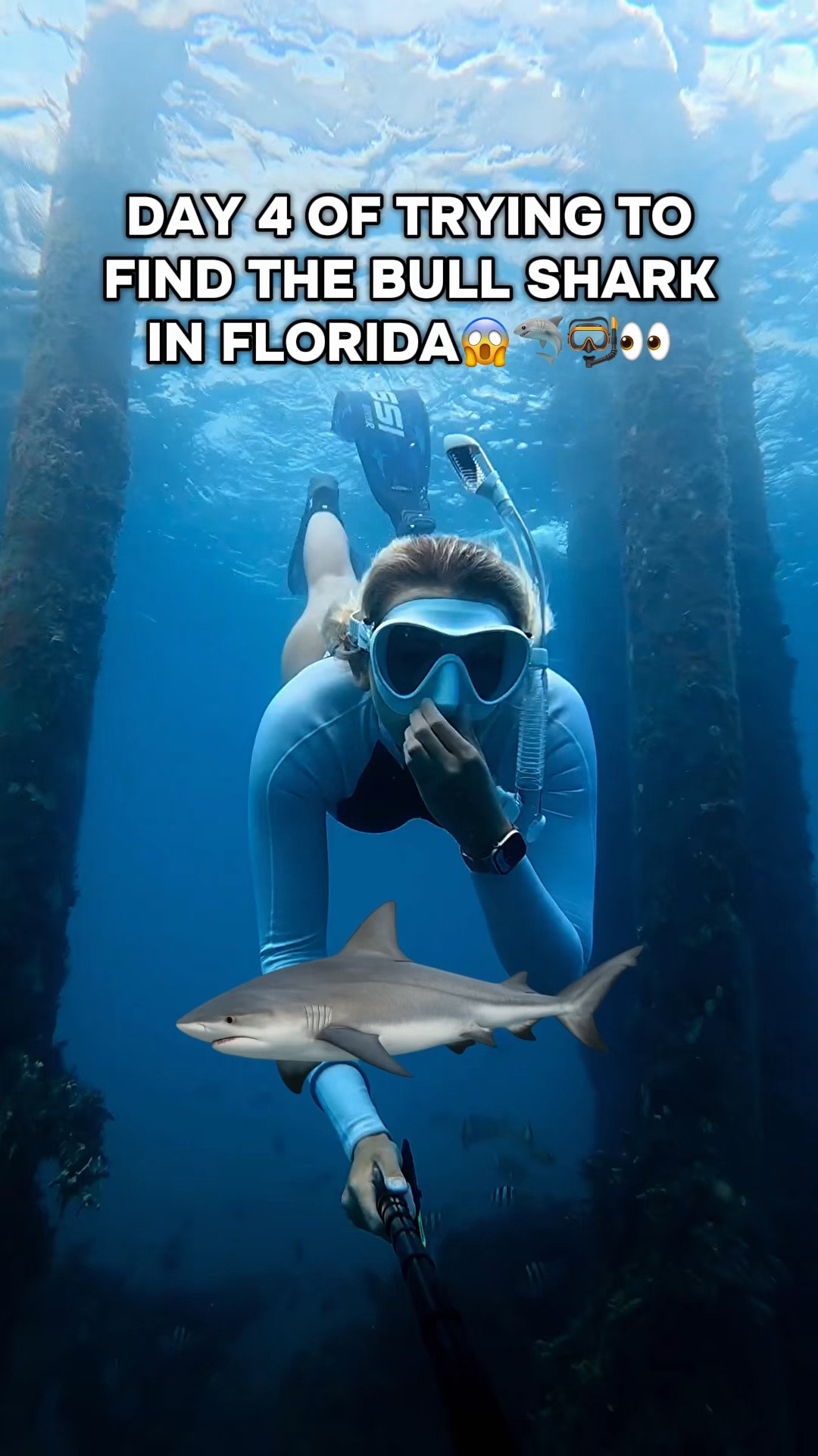 Getting stuck in a bait ball is NOT where you wanna be when there’s a bull shark around…😳🦈

#freediving #ocean #sharks #marinelife #florida 

#LTKActive #LTKTravel #LTKSwim