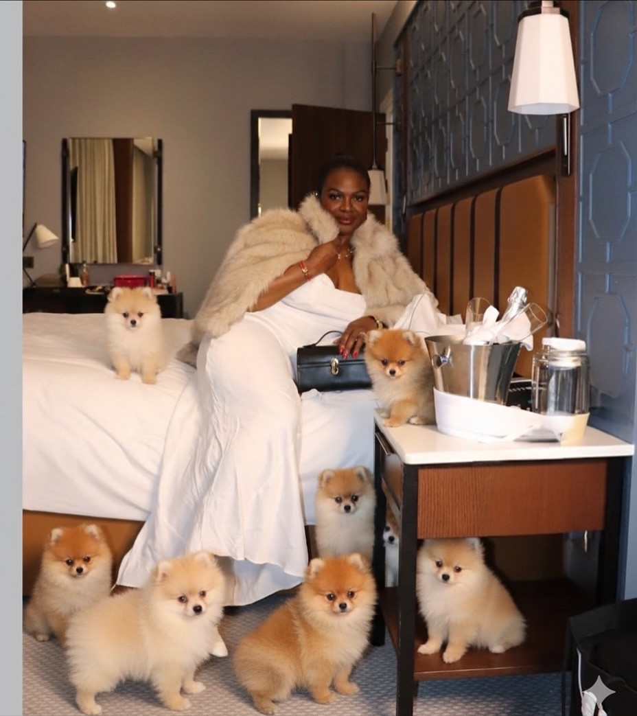 This may just be a sign to get my kids the puppy the’ve been asking for
 #puppylove #puppies

#LTKeurope #LTKuk #LTKpets