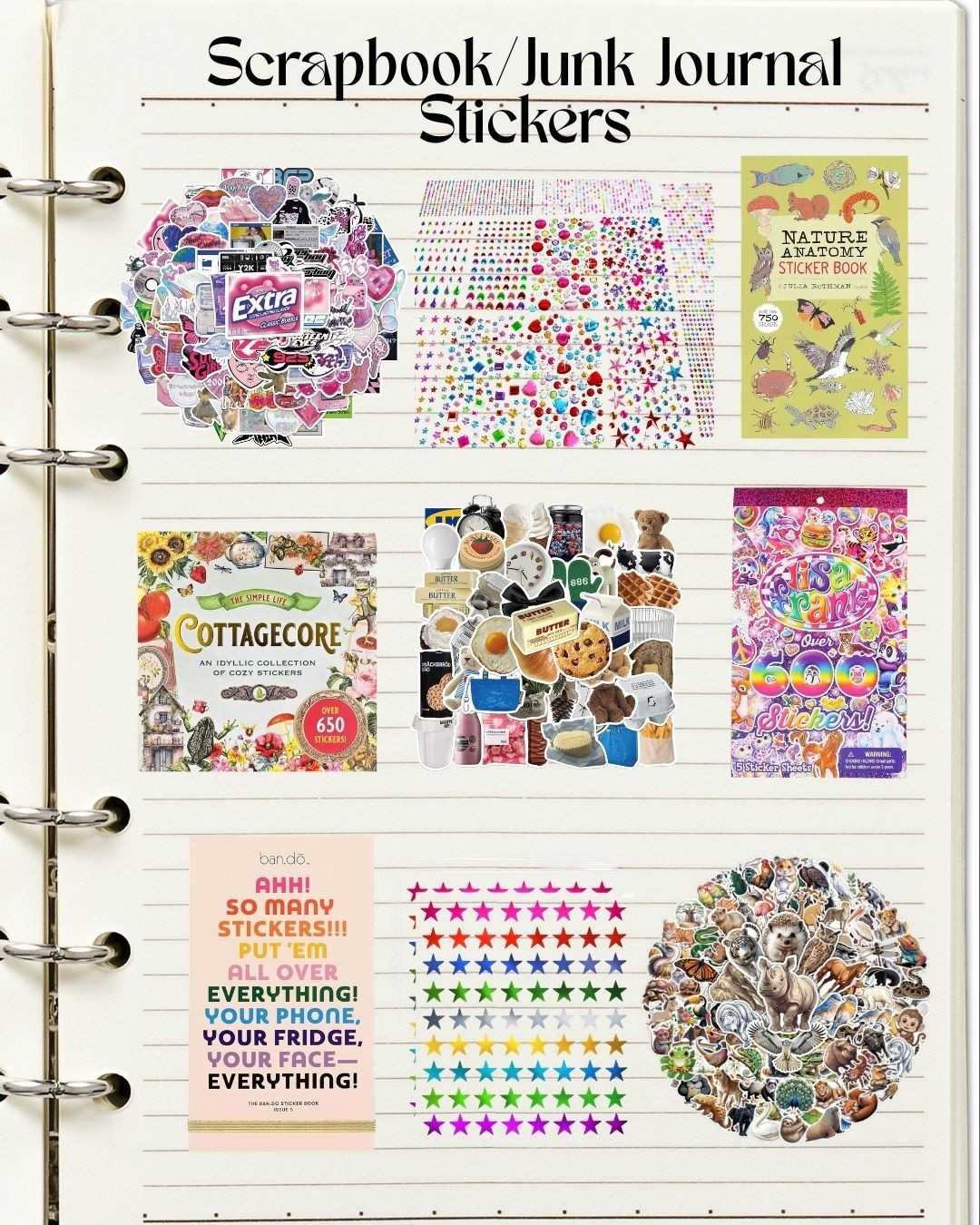 Scrapbook 📔 & Junk Journal 📓 Stickers ✂️🩵🩷

#LTKHome #LTKselfcare #LTKdayinmylife