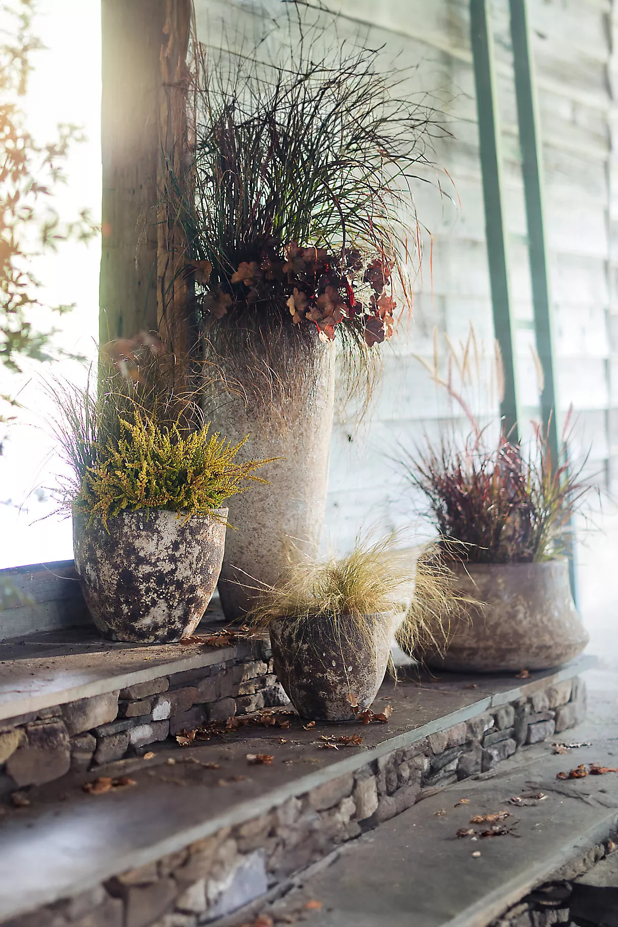 Barnacle Bell Planter | Terrain