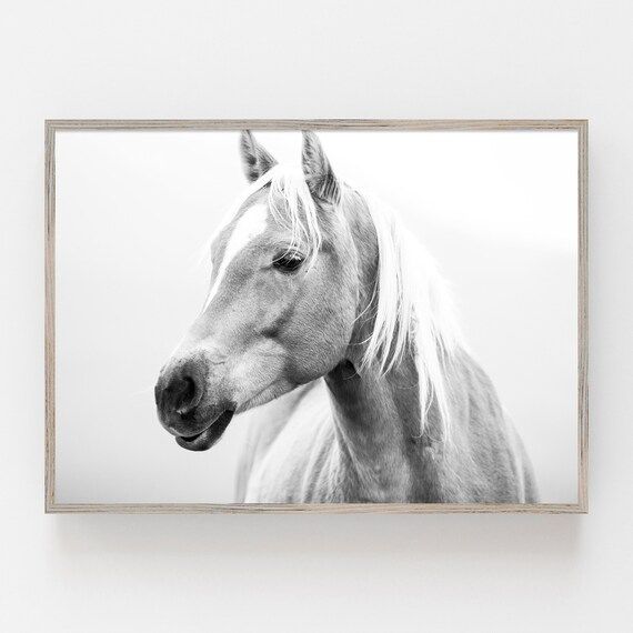 Black and White Horse Photo Print, Horizontal Printable Wall Art, Digital Download | Etsy (US)