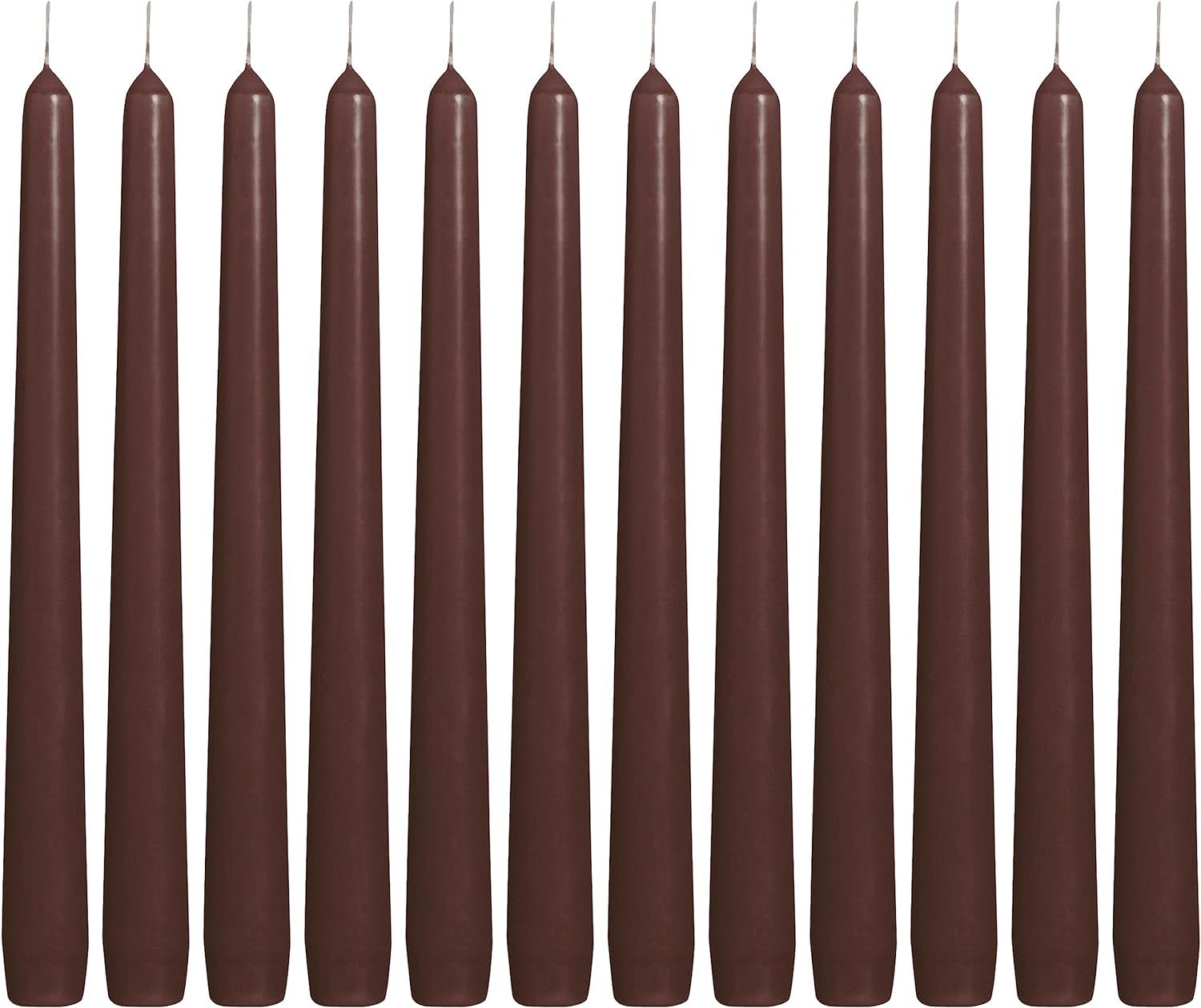 BOLSIUS Maroon Taper Candles - 12 Pack Individually Wrapped Unscented 10 Inch Dinner Candle Set -... | Amazon (US)