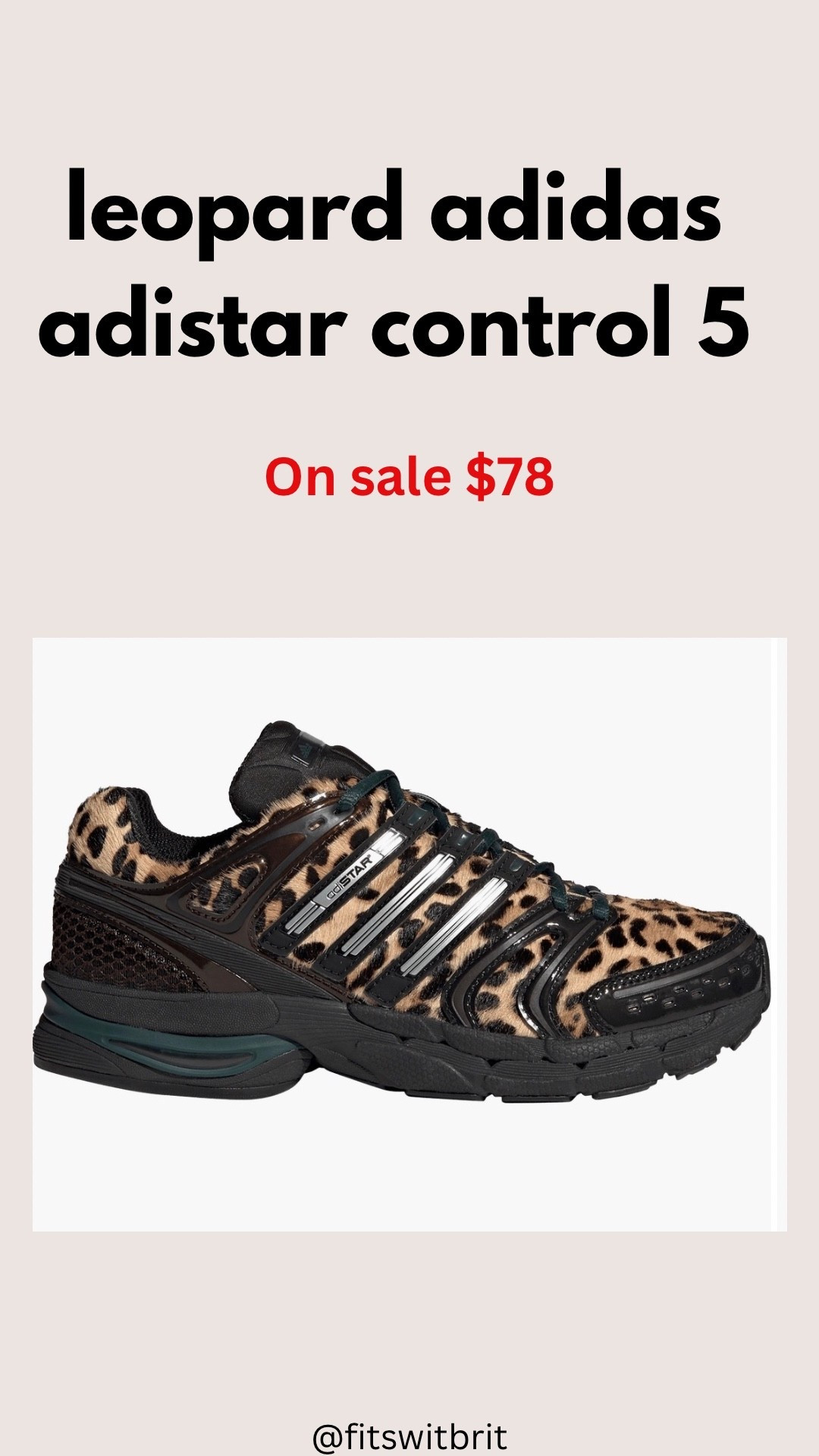 Leopard Adidas Adistar Control 5 on sale $78

#LTKfitnessgoals #LTKSaleAlert #LTKActive