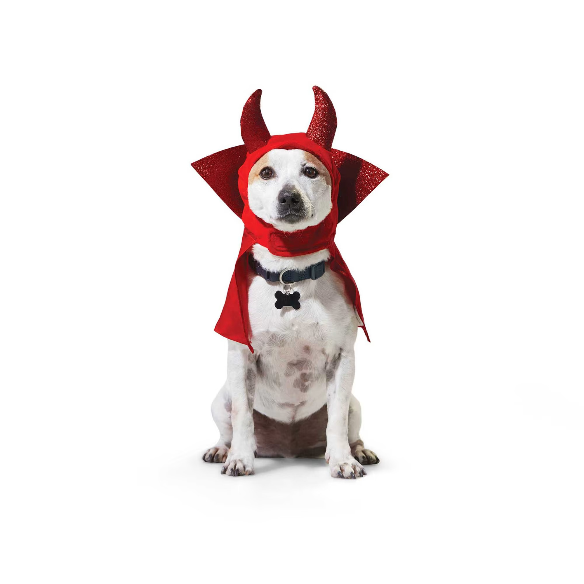 Bootique Devil Headwear for Dogs & Cats, Small/Mediu | Petco