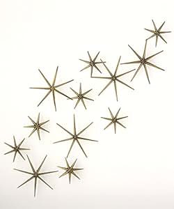 Etoile Brass Wall Décor - Set of 12 | Amazon (US)