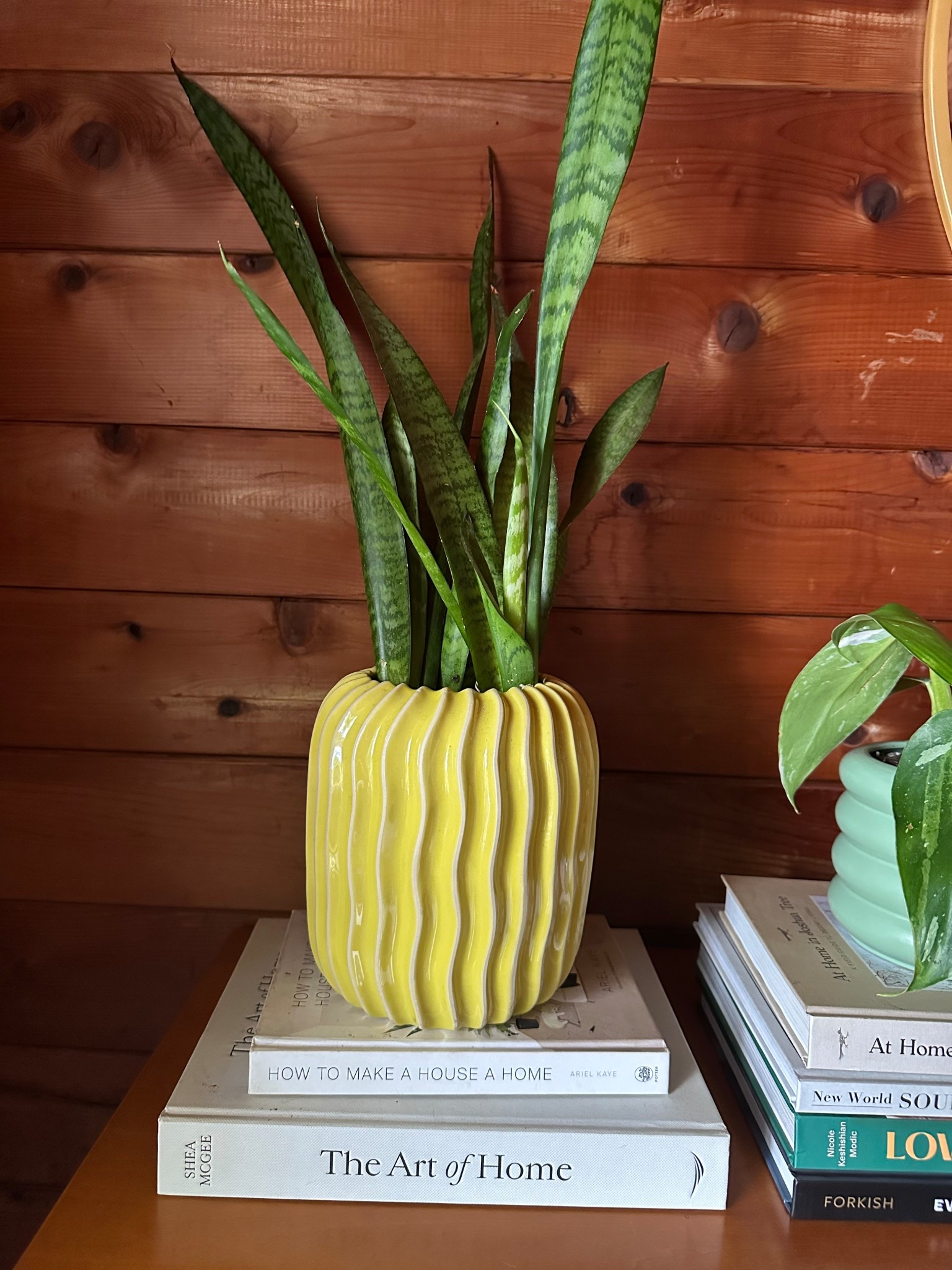 Chartreuse ceramic planter 

#LTKHome