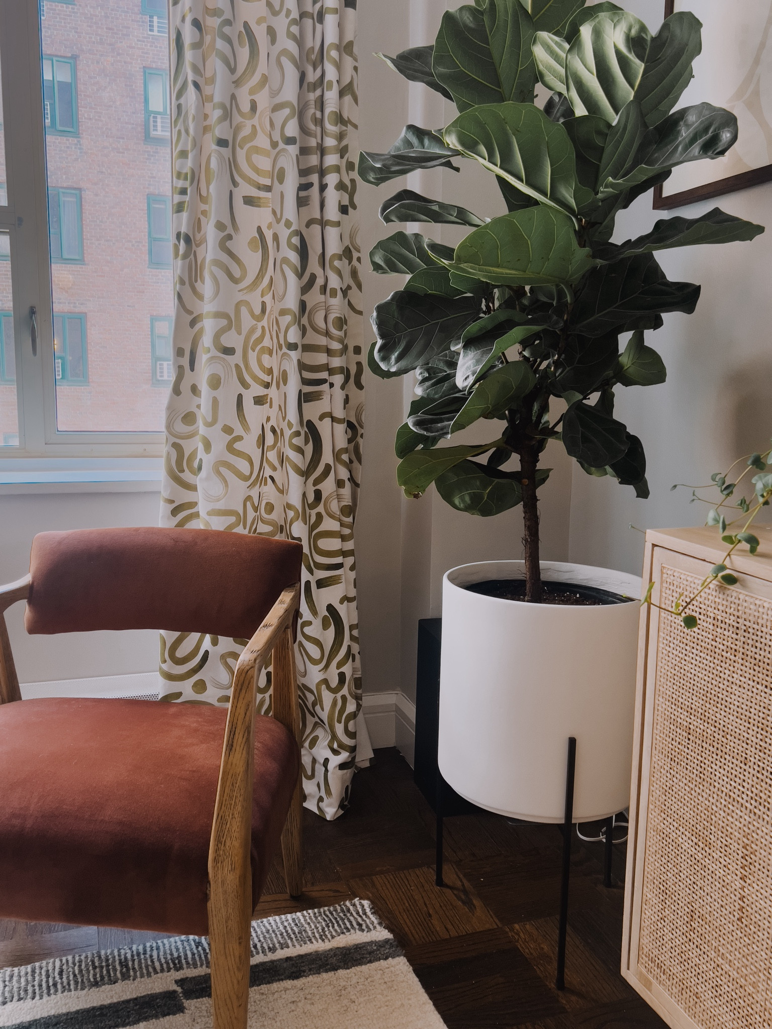 Shop my nyc home  

#LTKhome #LTKSeasonal #LTKstyletip