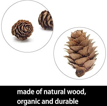 Deloky 150 PCS Christmas Natural Mini Pine Cones- 2CM Thanksgiving Small Pinecones Ornaments Vase... | Amazon (US)