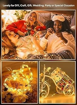 Brightown 12 Pack LED Fairy Lights Battery Operated String Lights - 7ft 20LED Waterproof Silver W... | Amazon (US)