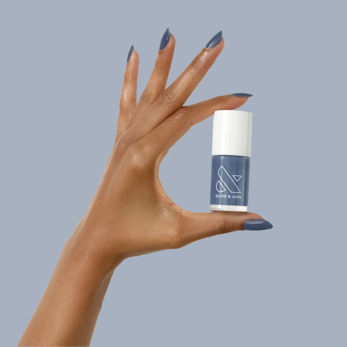 Social Studies | Olive & June