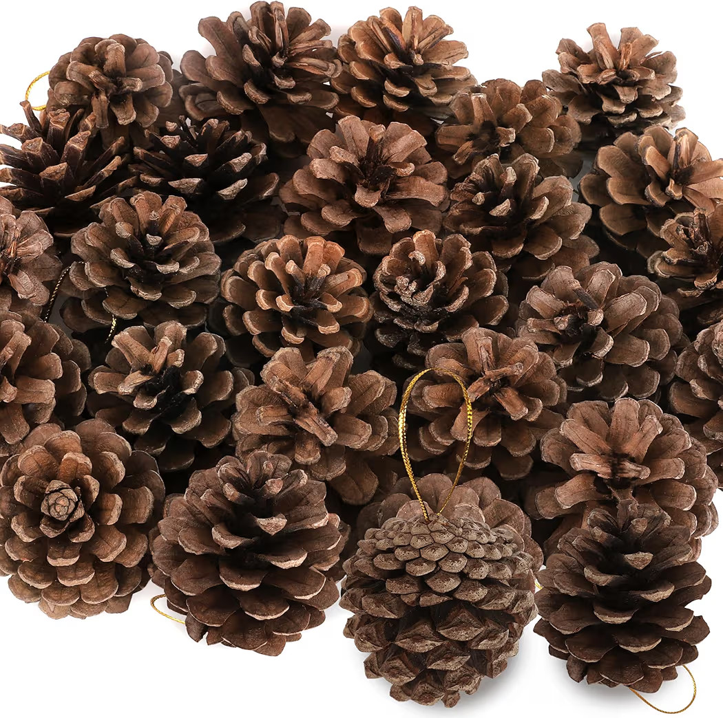 24 PCS Natural Pine Cones, 1.96 in Pinecone Ornaments, Rustic Pine Cones for Crafts, Winter Decor... | Amazon (US)