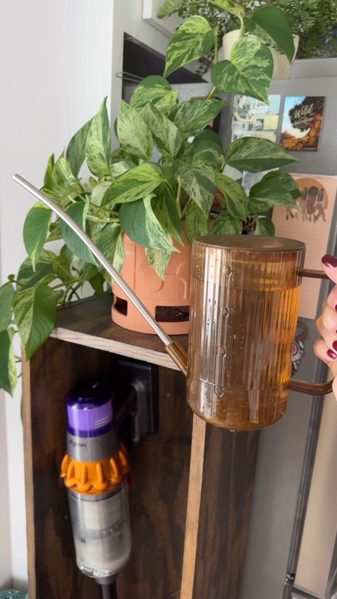 perfect indoor water can for plants  

#LTKFindsUnder50 #LTKSeasonal #LTKHome