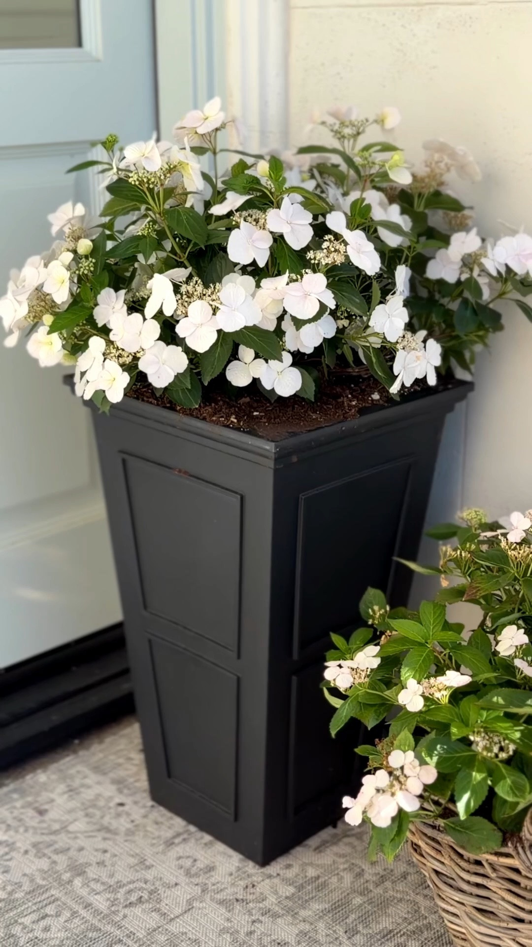These are my outdoor planters that I add to all my seating areas!  They bring in different textures and color that make a big impact!  I’m including my favorite faux plants that I use for those hard to water spaces!


@wayfair is always my go to for all things outdoor!

#Wayfair #WayfairPartner #wishyouwerehere #outdoor 

shop.ltk #liketkit liketk.it

#LTKHome #LTKSaleAlert #LTKdayinmylife