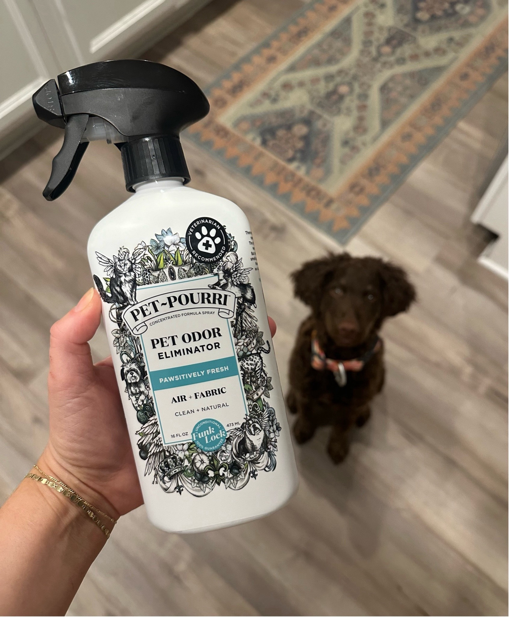 Pet odor eliminator - 30% off for Prime day 

#LTKSaleAlert #LTKHome #LTKFamily