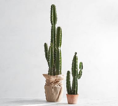 Faux Potted Saguaro Cactus | Pottery Barn Teen