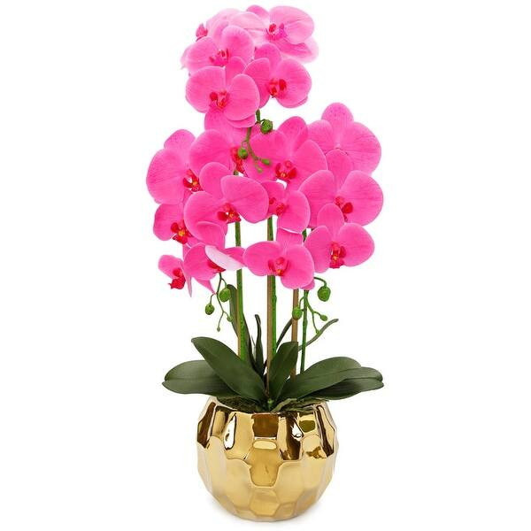 Pink Orchid plant in flat Round gold Hammered vase | Bed Bath & Beyond