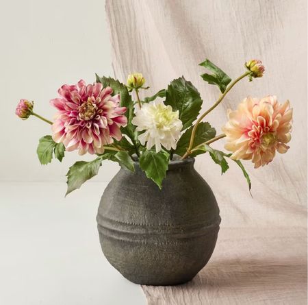 Magnolia Vase & Flower Stems

#LTKHome #LTKStyleTip #LTKOver40