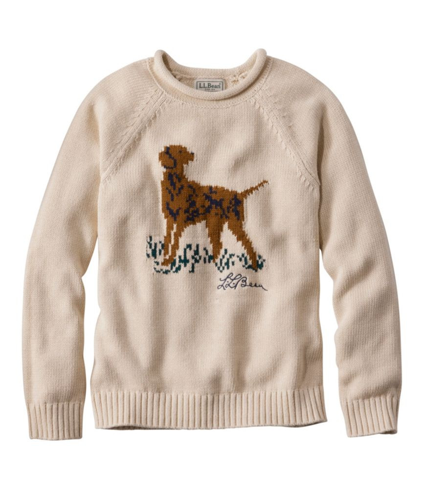 Kids' Cotton Rollneck Sweater | L.L. Bean