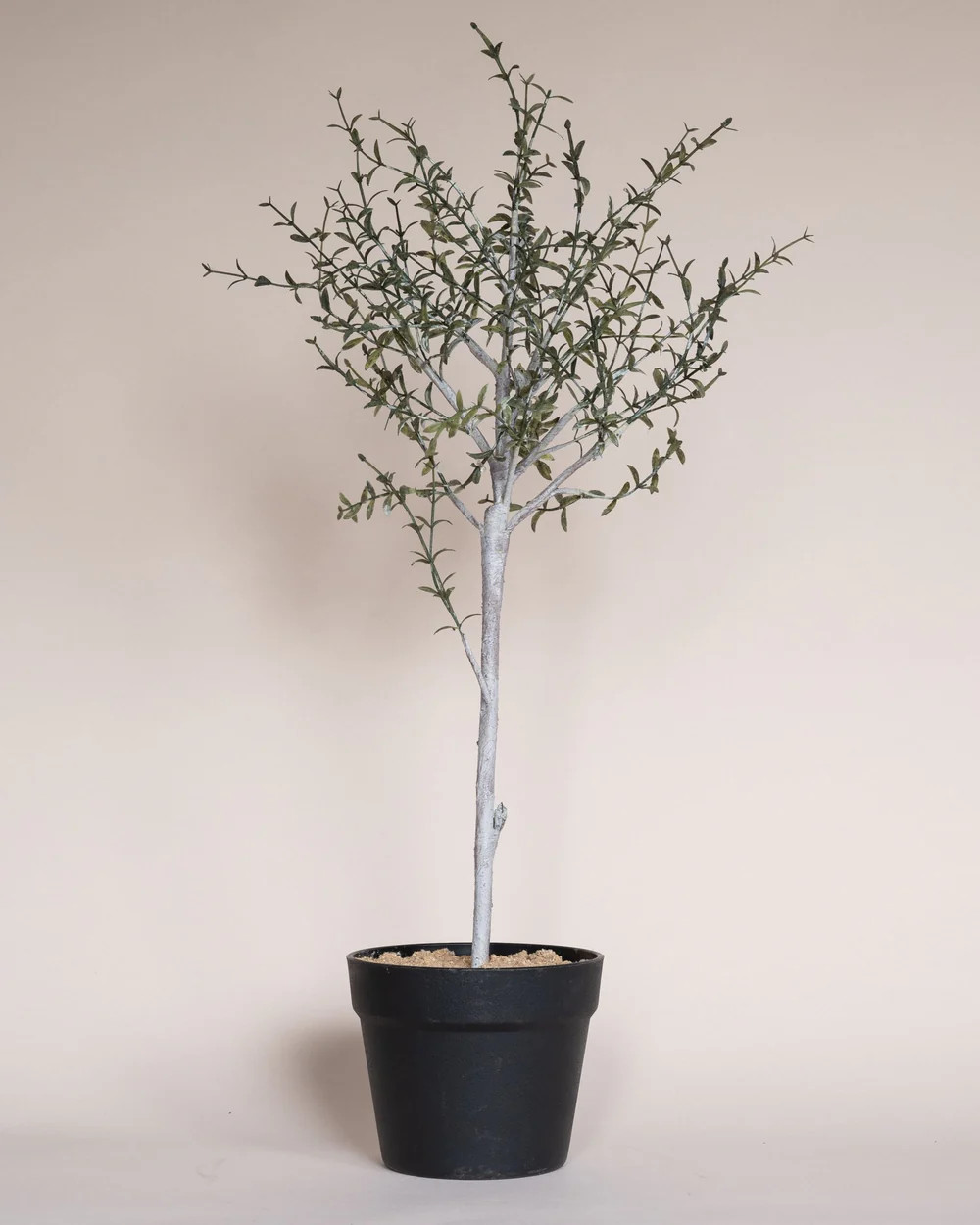 Faux Thyme Topiary in Pot - Sweet Water Decor | Sweet Water Decor, LLC