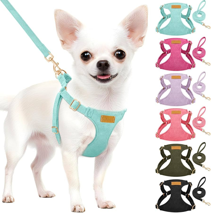 SlowTon Dog Harness Small Sized Dog - Soft XXS Dog Harness and Leash Set No Pull No Chock, Adjust... | Amazon (US)