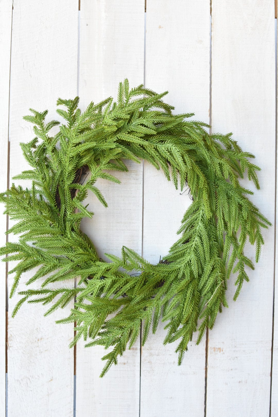 24" Faux Norfolk Wreath - Real Touch | HouseFloral