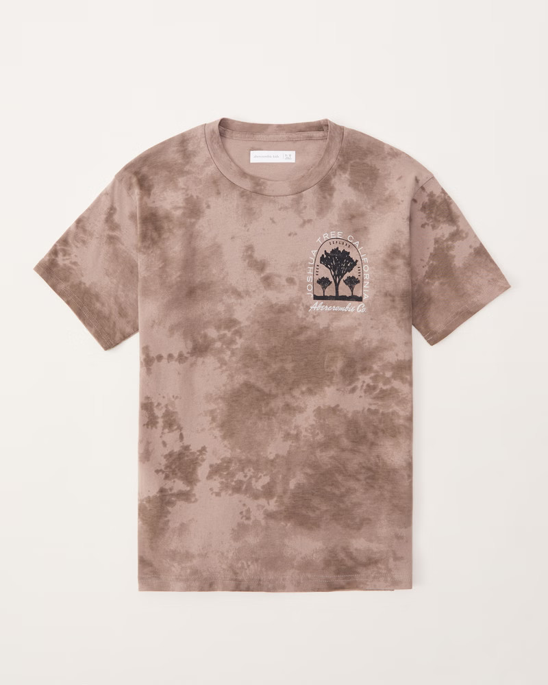 imagery logo graphic tee | Abercrombie & Fitch (US)