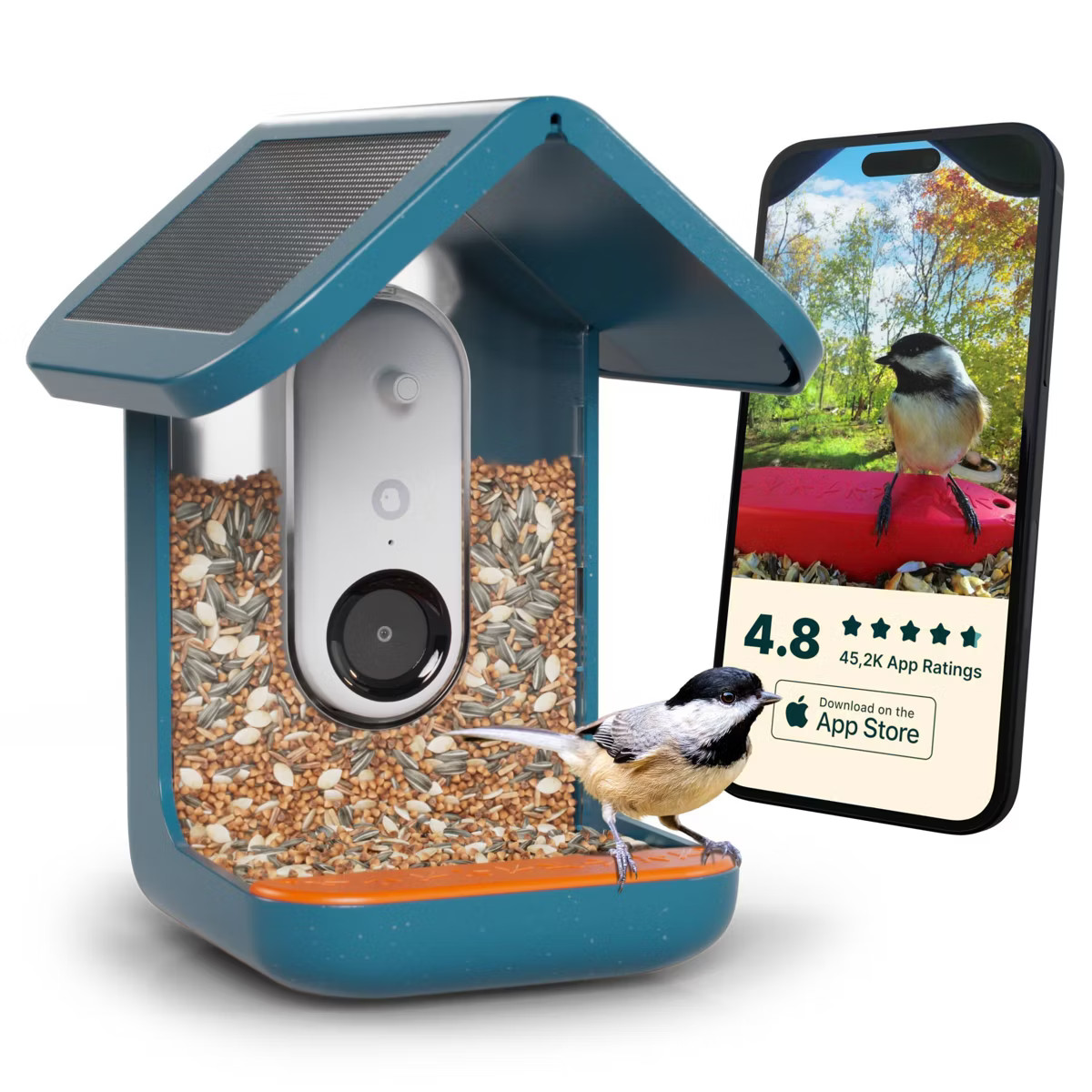 Bird Buddy Smart Bird Feeder with Camera and Solar Roof: Weather-Resistant, Hanging or Pole Mount | Target