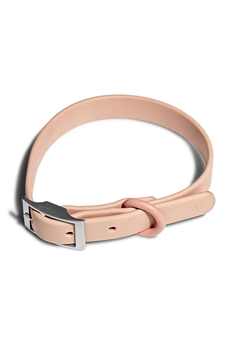 All-Weather Dog Collar | Nordstrom