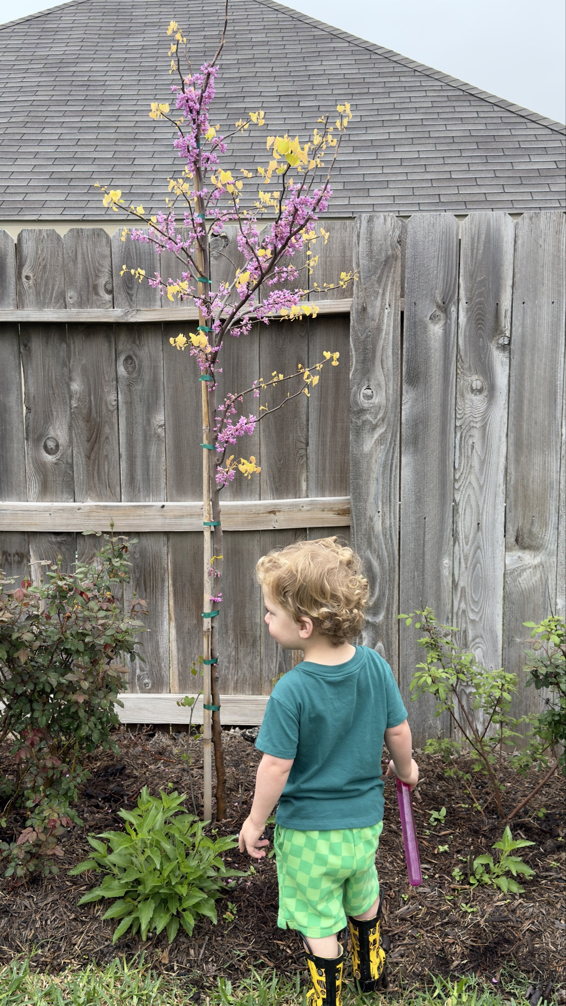 St. Patrick's Day Outfit for our little guy!

He is loving being outside and these cute outfit from @target is perfect for searching for that pot of gold. 

#LTKSeasonal #LTKbaby #LTKfamily