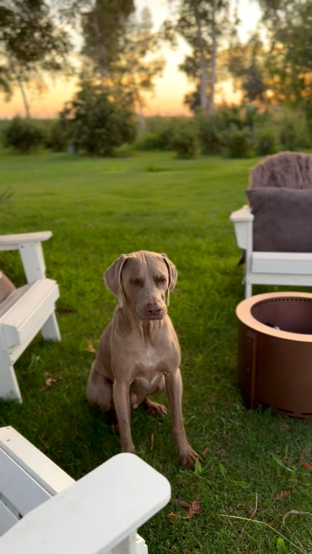 The Wayfair Way Day Sale is ending tonight! Don’t miss out on saving up to 80% with free shipping on classic outdoor furniture, entertaining essentials, holiday decor and more! ❤️ 

#LTKSaleAlert #LTKHome #LTKSeasonal