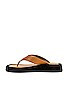 Tony Bianco Ives Sandal in Tan Como from Revolve.com | Revolve Clothing (Global)