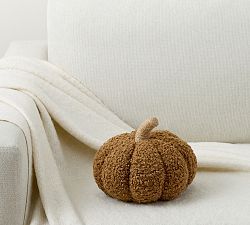 Cozy Pumpkin Pillow | Pottery Barn (US)