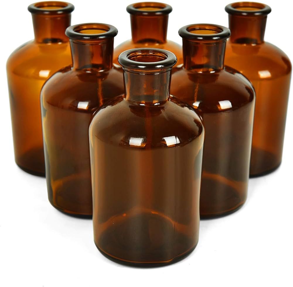 Rocinha 6 Pieces Amber Glass Vases Small Glass Bud Vase Apothecary Jars Decorative Amber Bottles ... | Amazon (US)