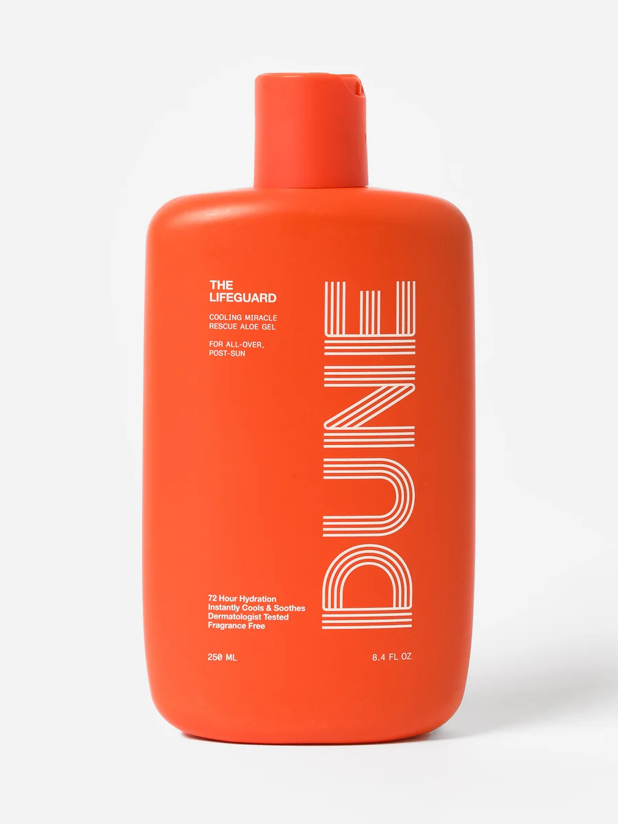 DUNE The Lifeguard | Saint Bernard