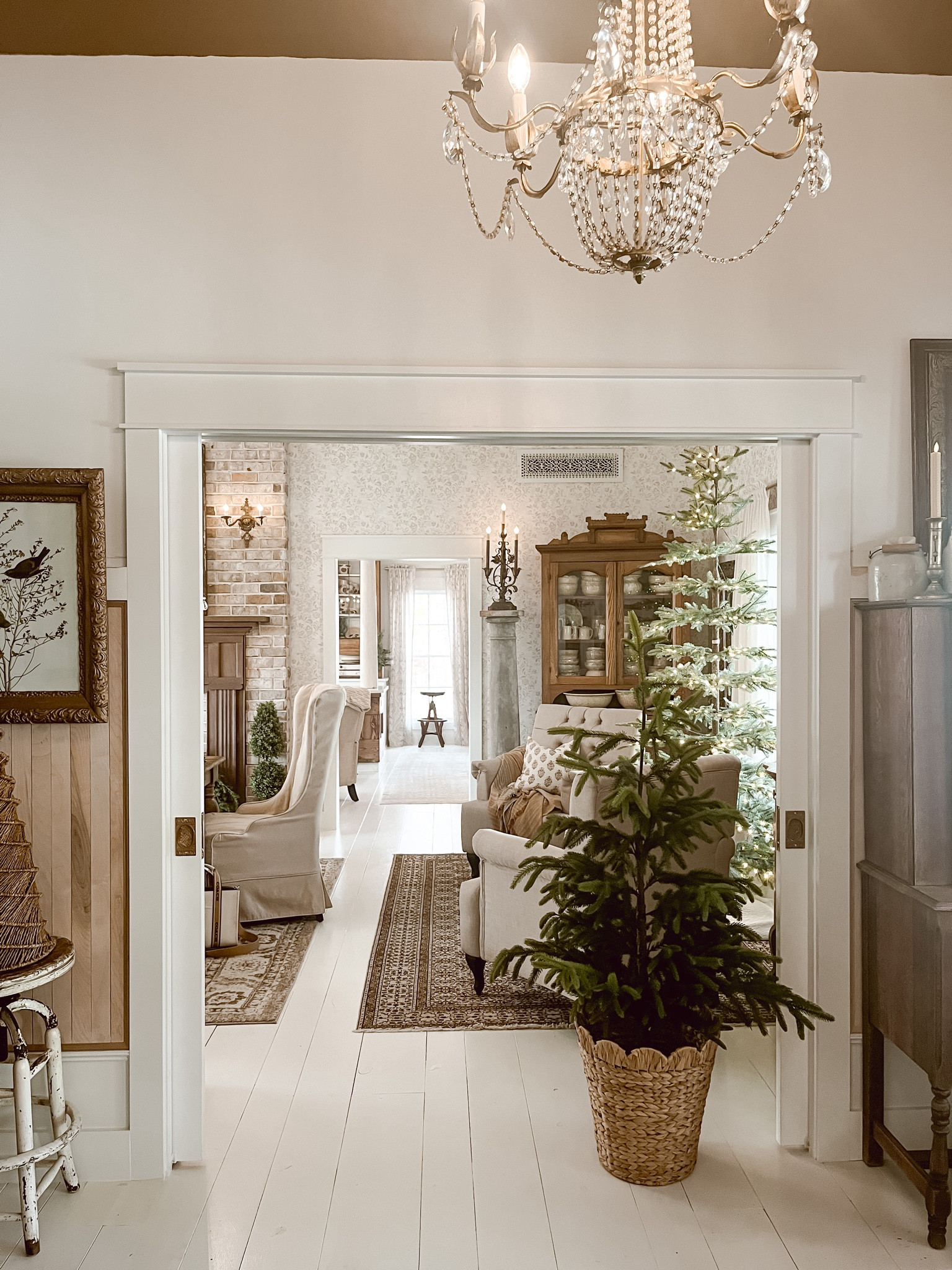 I got this little Norfolk Spruce Christmas Tree last holiday season, and I was so impressed with it. I changed its location in my home this year and changed out the basket I put it in. It’s so realistic and adds the perfect touch to my Winter home decor. 

#LTKHoliday #LTKHome #LTKSeasonal