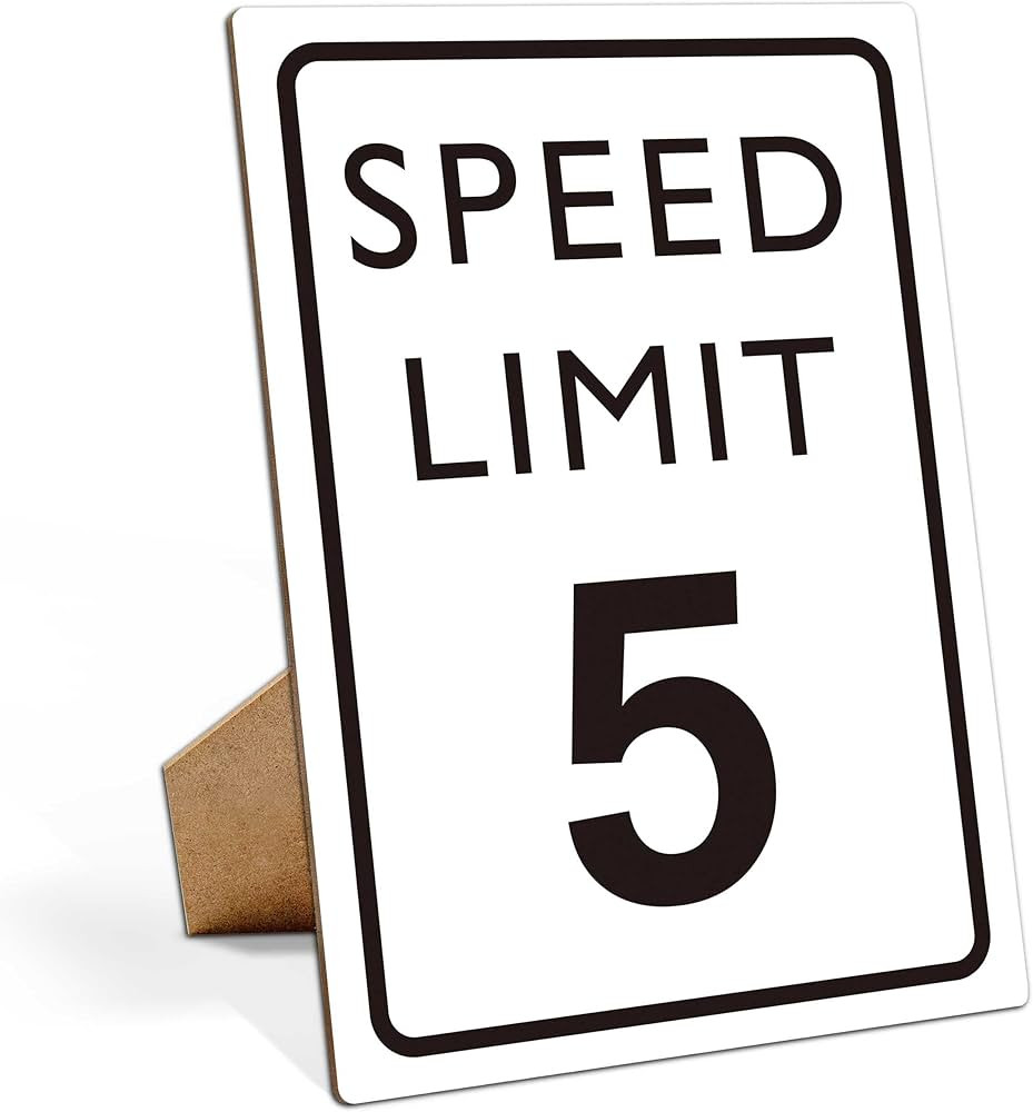 Race Car Birthday Decor, Speed Limit Sign, Fast Five, Race Car Birthday Party Decorations, 8×11 Wooden Play Sign with Stand, Let's Go Racing Party Supplies for Boy Race Fans - LP066 | Amazon (US)