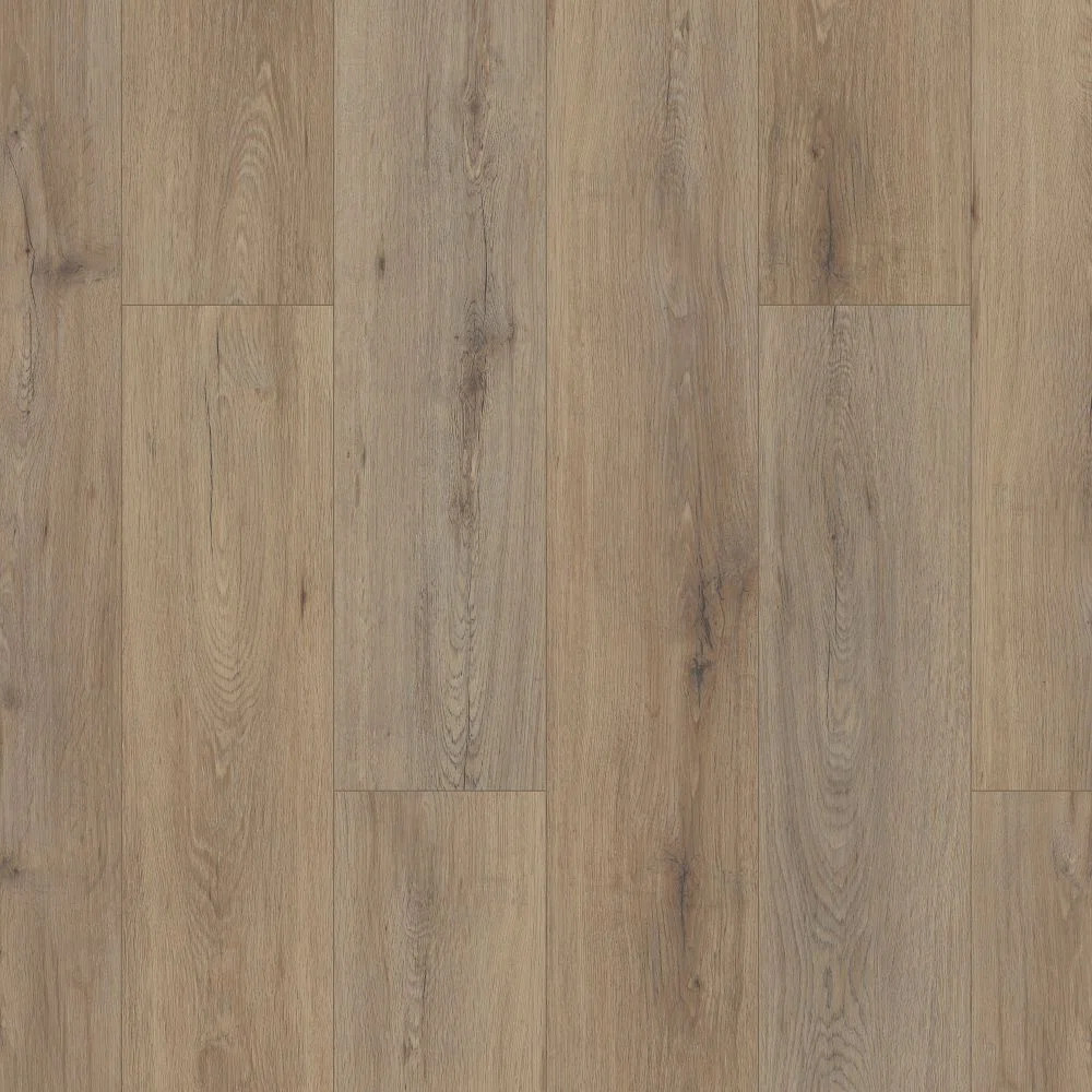 Shaw Cascada 5-mm T x 7-in W x 48-in L Waterproof Luxury Vinyl Plank Flooring | Wayfair North America