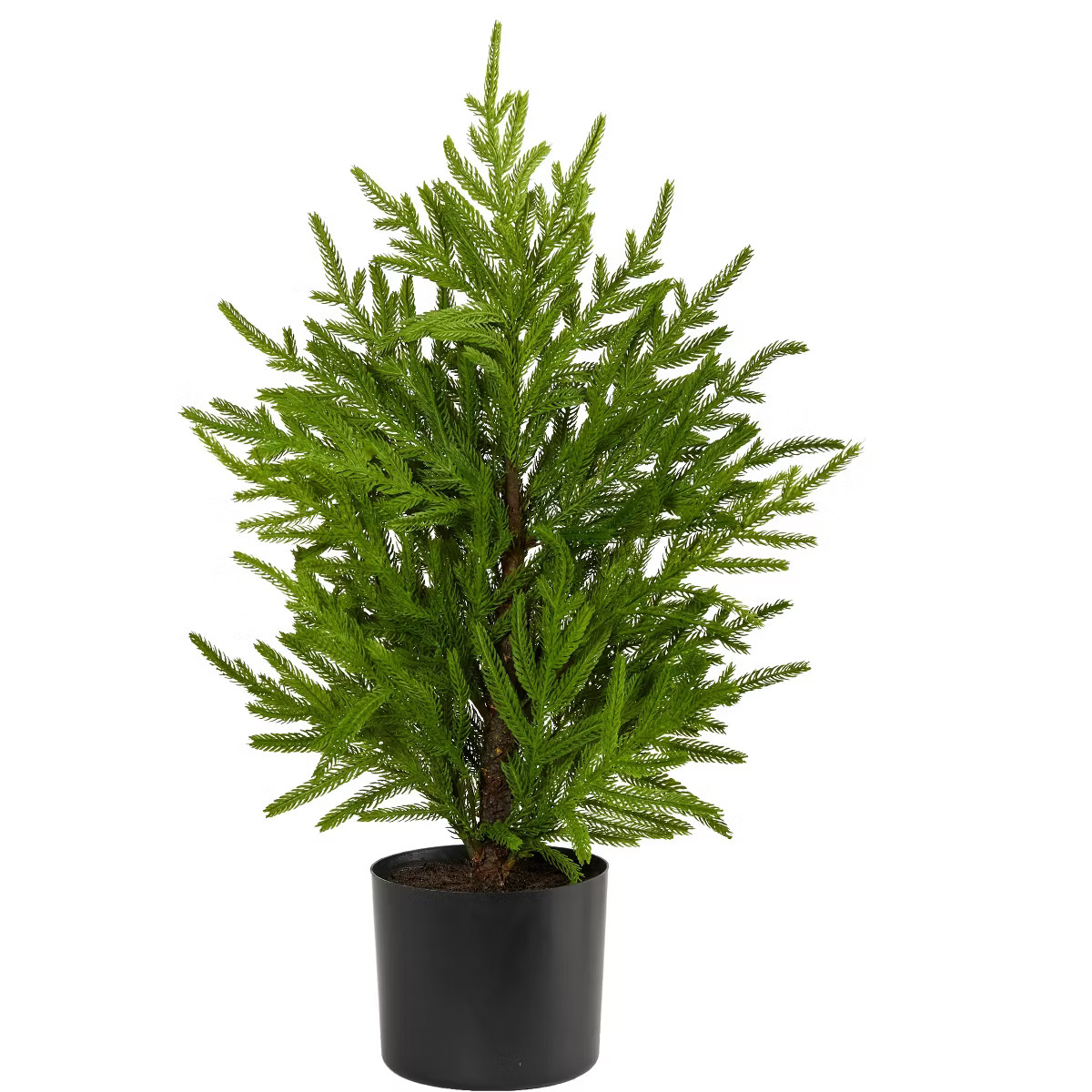 Nearly Natural 2-ft Norfolk Island Pine Natural Look Artificial Tree in Decorative Planter | Target