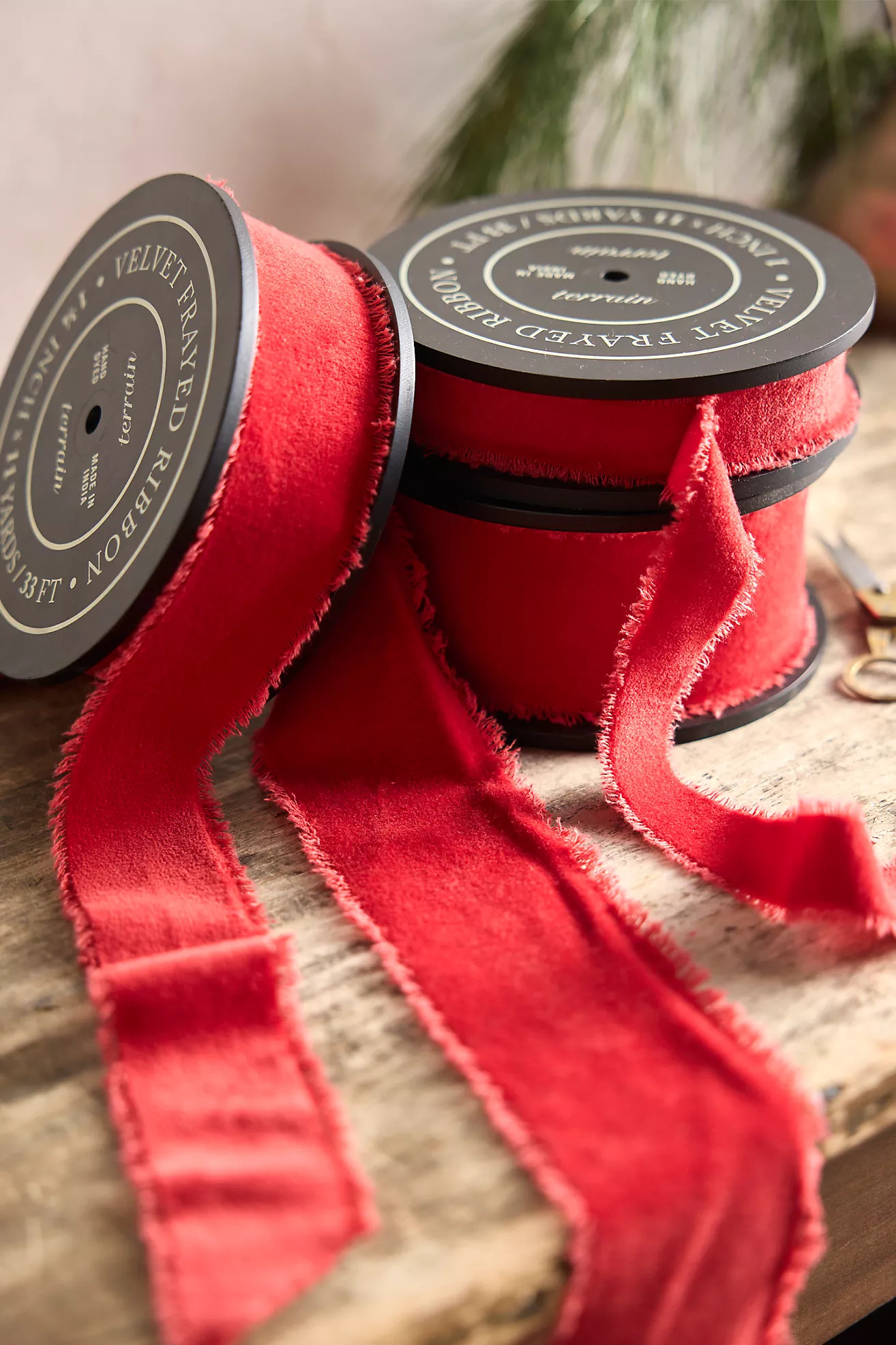 Antiqued Frayed Velvet Ribbon | Anthropologie (US)