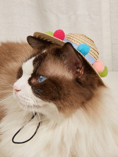 1pc Plush Ball Decor Pet Hat | SHEIN