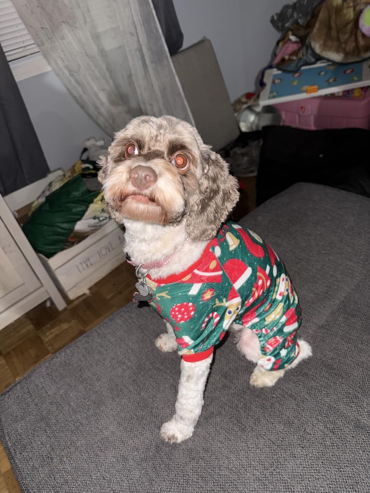 Fitwarm Valentines Day Sweet Hearts Dog Pajamas, Dog Winter Clothes for Small Dogs Girl Boy, Ligh... | Amazon (US)