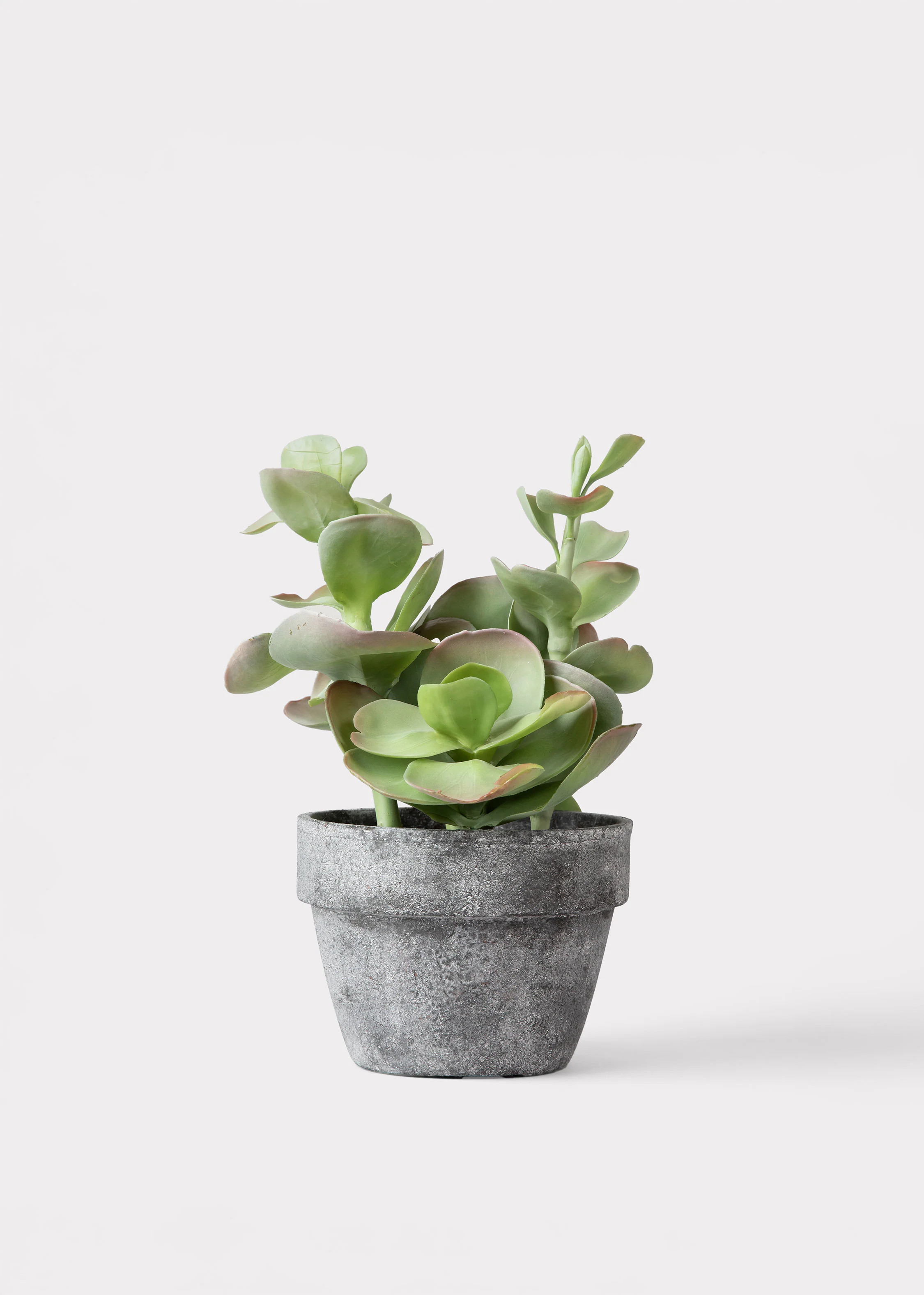 Fake Potted Artificial Succulent Plant - 16.5 | Afloral